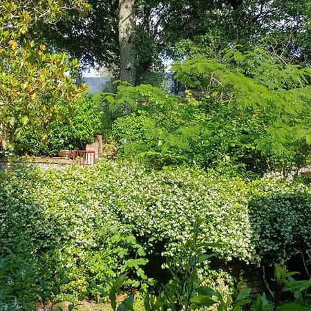 Le Magnolie Esclusiva Vicino Roma E Il Villa Nepi